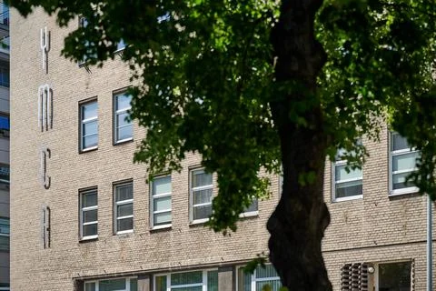 View of the brick YMCA building facade partially obscured and framed by a lar Stock Photos