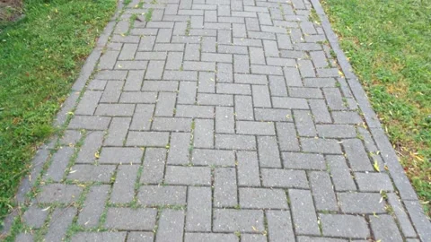 View of a bricks path in Parcul Uzinei, Timisoara, Romania Video stock 154480650