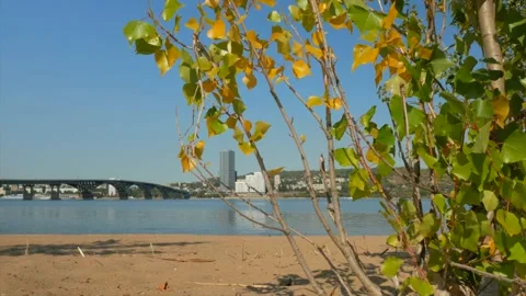 View of the bridge across the Volga between Saratov and Engels 動画素材 139850243