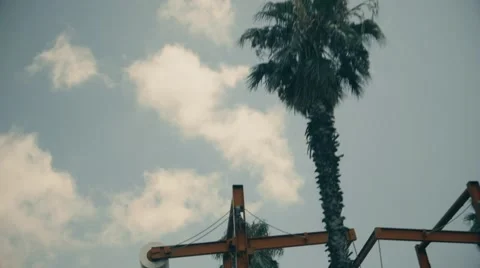 View of a bridge and the palm trees while driving Video stock 53006296