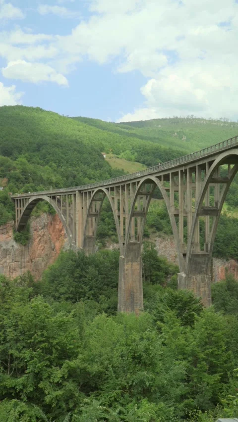 View of the bridge, forest and mountains Stock Footage 281024787