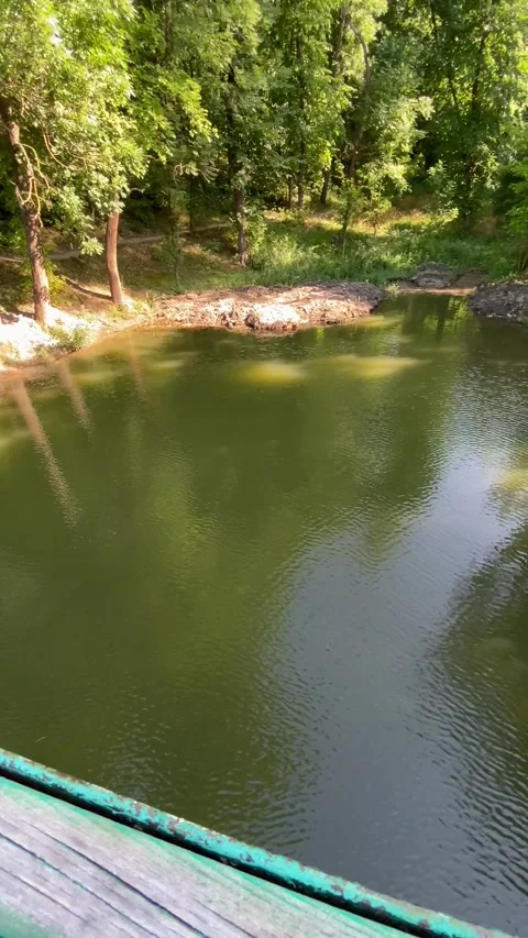 View from the bridge on a green pond underneath in the city park Stock Footage 208337779