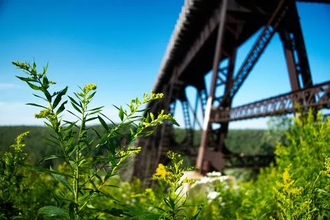A view of a bridge from the ground Stock Photos
