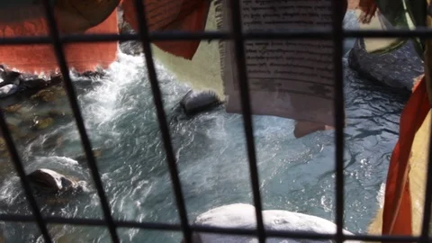 View from the bridge to the mountain river in Pre-Himalayas. Stock-Footage 99040932