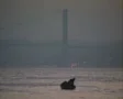 View of bridge over Bosphorus river SD Footage
