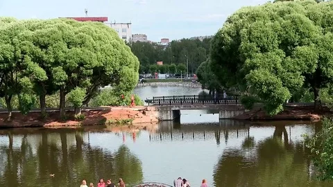 View of bridge on the pond Stock Footage 70492205