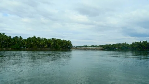 View of a bridge on a river, surrounded by tall trees in a town in India Vídeo Stock 120836060