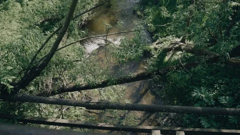 View from the bridge to a small river flowing in a ravine. Stock Footage 108940180