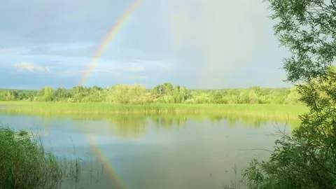 View of bright rainbow after rain over river and shores with green reeds and Stock Footage 145085613
