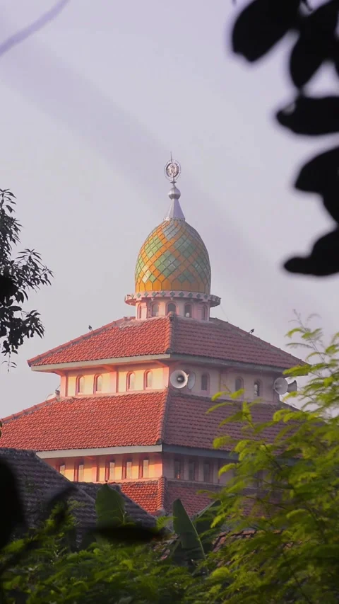 View of the brightly colored roofs and domes of the mosque. 库存影片 292281152