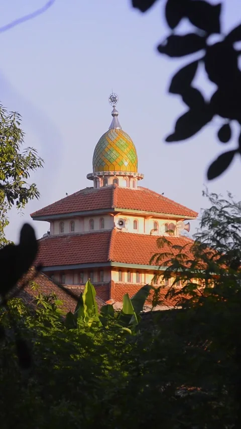 View of the brightly colored roofs and domes of the mosque. 库存影片 292282504