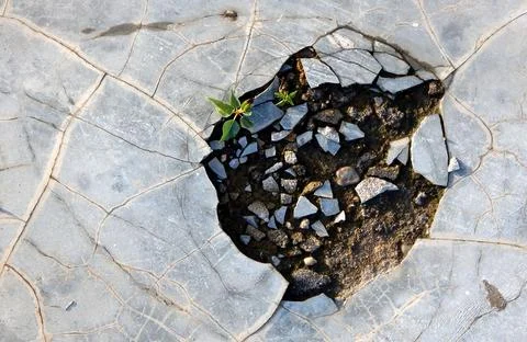 View of Broken  cement floor for use as background Фото