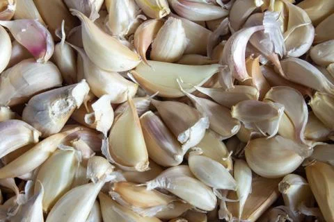 View of broken down garlic pieces. Garlic helps build immunity against cold Stock Photos