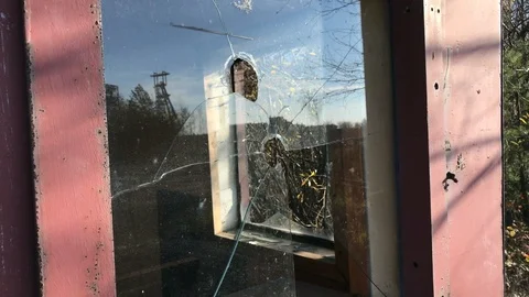 View of a broken window in a trees and industry construction. Stock Footage 97959419