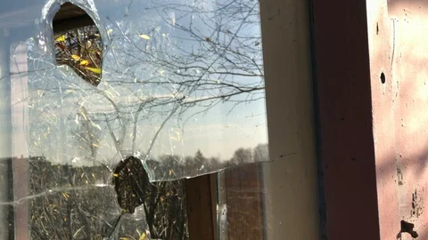 View of a broken window in a trees. Stock Footage 97958337