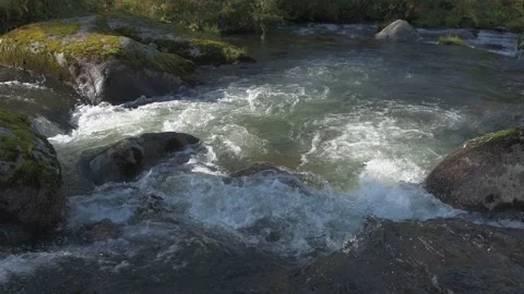 View of a brook that flows quickly among rocks. Stock Footage 144857786