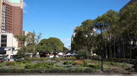 View from Brooklyn Borough Hall Steps Stock Footage 46730888