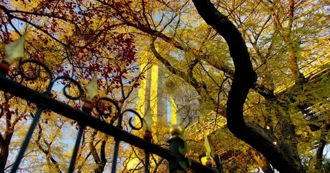 View of Brooklyn Bridge through fall time trees. Stock Footage 72987052