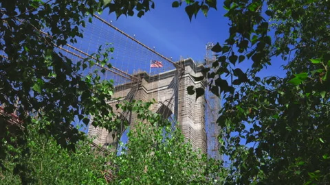 View of the Brooklyn Bridge through growing trees NYC Stock Footage 156708109