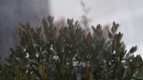 View of Brooklyn during snowstorm Manhattan New York City usa Stock Footage 84739575