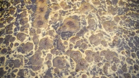View of bubbling molasses foam in Natore, Bangladesh. Stock Footage 335765862