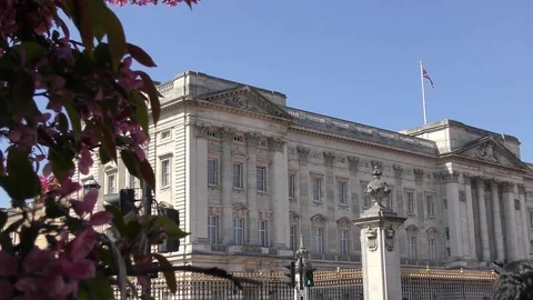 View of Buckingham Palace. 스톡 동영상 76259328