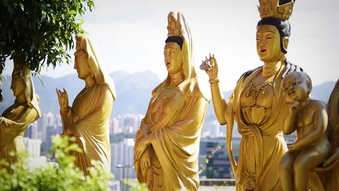 View of buddhist statues in 1000 Buddhas Temple, in Hong Kong. Stock Footage 72332588