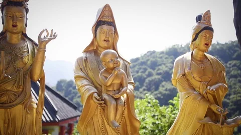 View of buddhist statues in 1000 Buddhas Temple, in Hong Kong. Stock Footage 72332704