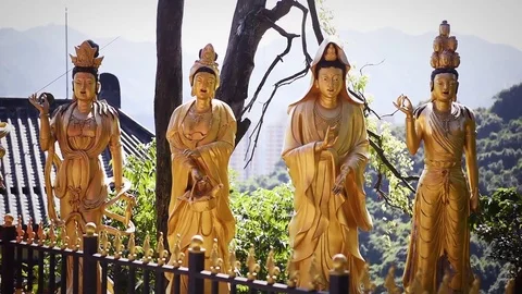 View of buddhist statues in 1000 Buddhas Temple, in Hong Kong. Stock Footage 72332743