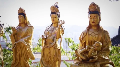 View of buddhist statues in 1000 Buddhas Temple, in Hong Kong. Stock Footage 72332795