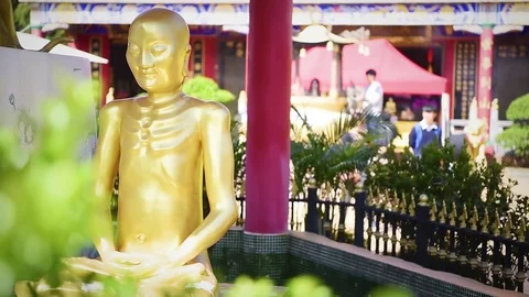 View of buddhist statues in 1000 Buddhas Temple, in Hong Kong. Stock Footage 72332822