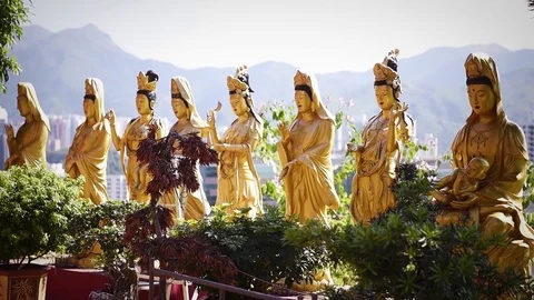View of buddhist statues in 1000 Buddhas Temple, in Hong Kong. Stock Footage 72332825