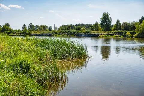 A view of the Bug River with its banks reflected in the water during the summ Foto stock