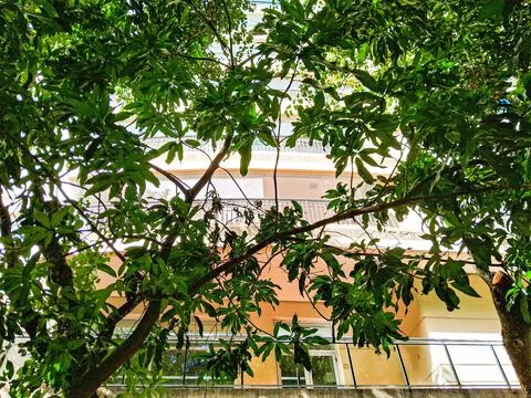 View of building, next to a park. Fotos de archivo