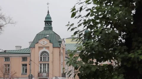 View of the building through a green tree. Video stock 64636178