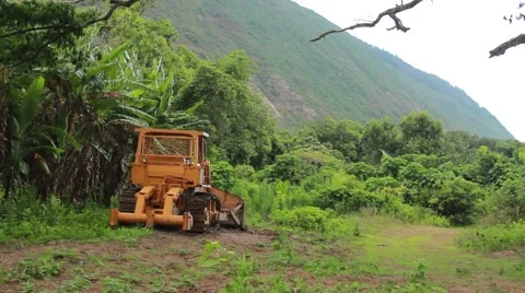 View of Bulldozer in forest. Stock-Footage 53498912