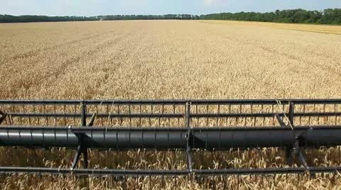 View from the bumper of the harvester Stock Footage