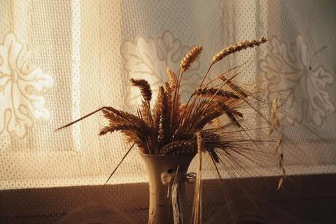 View of bunch stems with ears of wheat in vase Stock Photos