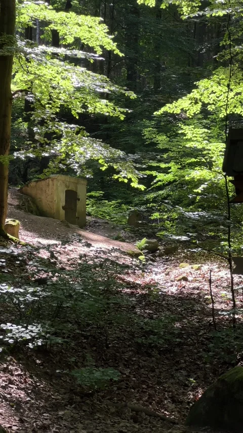 View of bunker in sunlight forest of Karlovy Vary. Vertical video Stock Footage 246972546