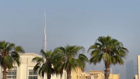View of Burj Khalifa Tower Behind Palm Trees in DubaiView of Burj Khalifa T.. Stock Footage 347203190