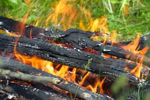 View of the burning campfire in camp Stock-Fotos