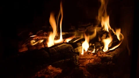 View of burning wood beautiful flame with hot coals Stock Footage 121020119