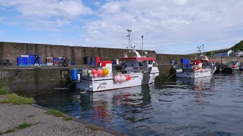 View from Burnmouth harbour Video stock 80293431