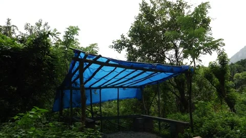 View of bus stand for passengers in forest Video stock 156958827