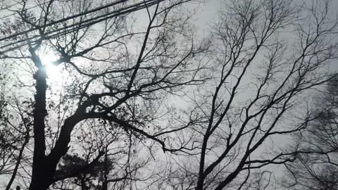 View From The Bus Window In Motion On The Winter Cloudy Sky Stock Footage 153816511