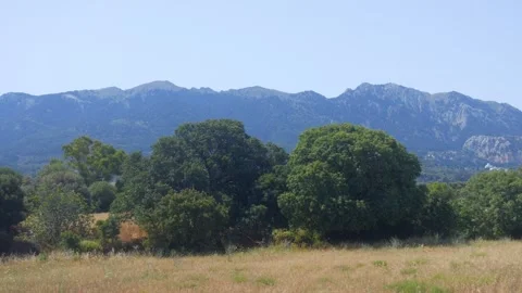 A view from a bus window traveling through the lush rural landscapes of Kos.. Stock-Footage 291117180