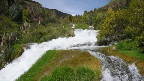 View of bushes and forest with rushing river Stock Footage 273837963