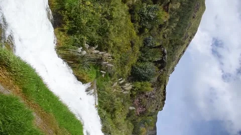 View of bushes and forest with rushing river Stock Footage 273837979