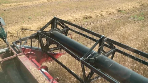 The view from the cab of the combine to the reel, header. Wheat harvesting Stock Footage 159163281