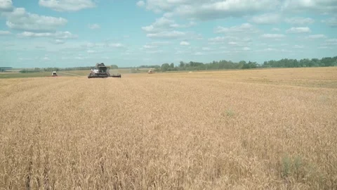 View from the cab of the harvester to the Combine moving across the field and Stock Footage 194911003